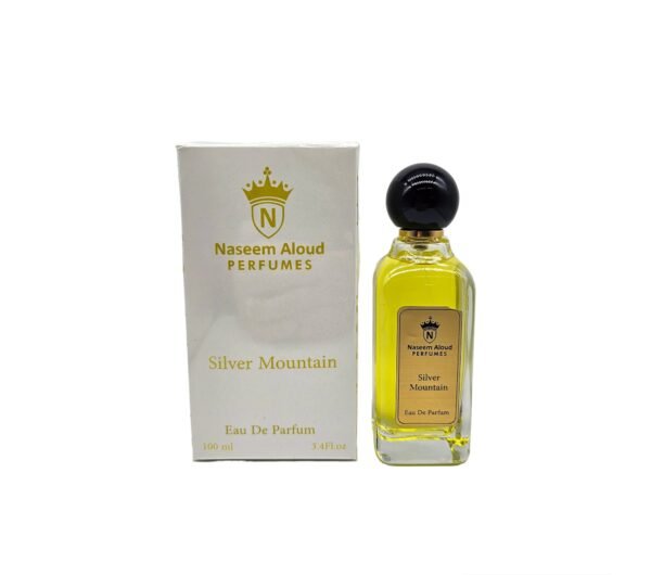 Silver Mountain